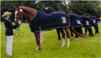 Region 3 Dressage Team at NAYRC after the jog, modeling our coolers sponsored by Stal Hoefs, the Netherlands.