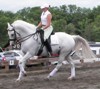 Schooling at Gladstone.