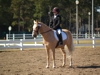 Lilly Hall and Heart of Gold