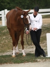 Jodie and Wencenza waiting for the jog...