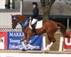 Jodie and Wencenza on Victory Gallop...