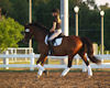 Gaby Collins and Phantom
