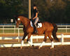 Gaby Collins and Phantom