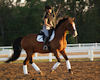 Gaby Collins and Phantom