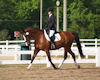 Gaby Collins and Phantom
