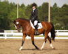Gaby Collins and Phantom
