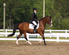 Gaby Collins and Phantom