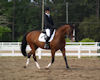 Gaby Collins and Phantom