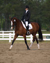 Gaby Collins and Phantom
