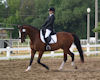 Gaby Collins and Phantom