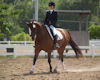 Gaby Collins and Phantom