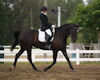 Jennifer Boblitt and Aragon
