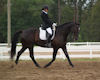 Jennifer Boblitt and Aragon