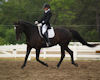 Jennifer Boblitt and Aragon