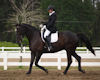 Jennifer Boblitt and Aragon