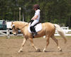 Lily Hall and Heart of Gold