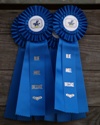 Blue Ribbons