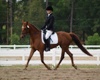 Tammy Key and Jolie