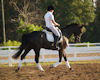Wibke Flight and Reatta HW