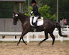 Wibke Flight and Reatta HW