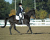 Becky Johnston and Quick Tam
