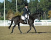 Becky Johnston and Quick Tam
