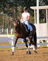 Carol Dover and Decorated Debut