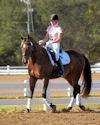 Carol Dover and Decorated Debut