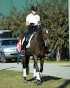 Carol Dover and Decorated Debut