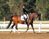 Gabriella Collins and Phantom