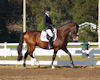 Gabriella Collins and Phantom