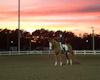 Jenn Boblitt and Capriole