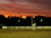 Jodie Kelly and Manhattan
