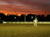Jodie Kelly and Manhattan
