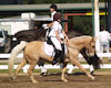 Lily Hall and Heart of Gold