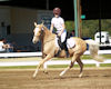 Lily Hall and Heart of Gold