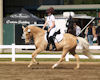 Lily Hall and Heart of Gold