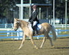 Lily Hall and Heart of Gold