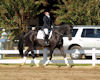Mattie Zepernick and Nereide