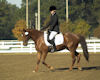 Tammy Key and Jolie