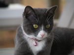 Chloe