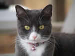 Chloe