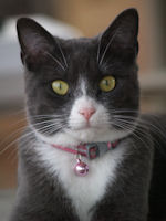 Chloe