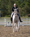 Jodie Kelly and Manhattan warming up for FEI Grand Prix Freestyle Championship on Saturday