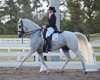 Jodie Kelly and Manhattan warming up for FEI Grand Prix Freestyle Championship on Saturday