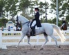 Jodie Kelly and Manhattan warming up for FEI Grand Prix Freestyle Championship on Saturday