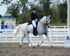 Jodie Kelly and Manhattan warming up for FEI Grand Prix Freestyle Championship on Saturday