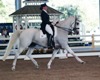 Jodie Kelly and Manhattan performing their FEI Grand Prix Freestyle