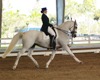 Jodie Kelly and Manhattan performing their FEI Grand Prix Freestyle