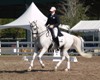 Jodie Kelly and Manhattan warming up for the FEI Grand Prix Championship on Sunday